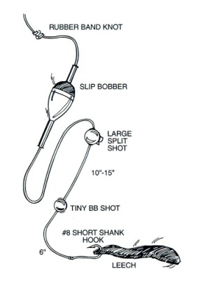Bobber Fishing Rigs