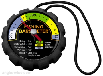 Daily Fishing Report 