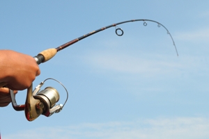 fishing rod